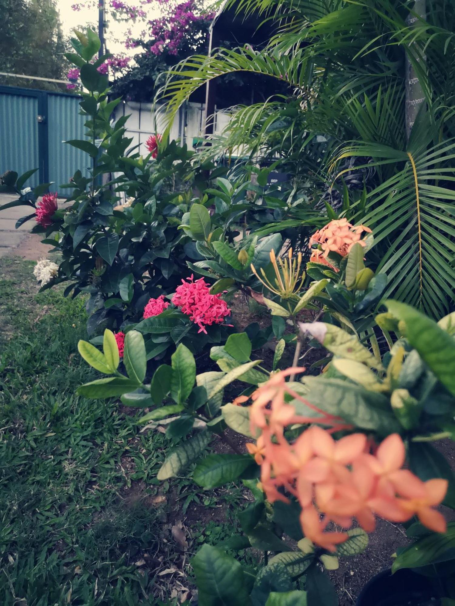 Lagoon Dream موريا المظهر الخارجي الصورة