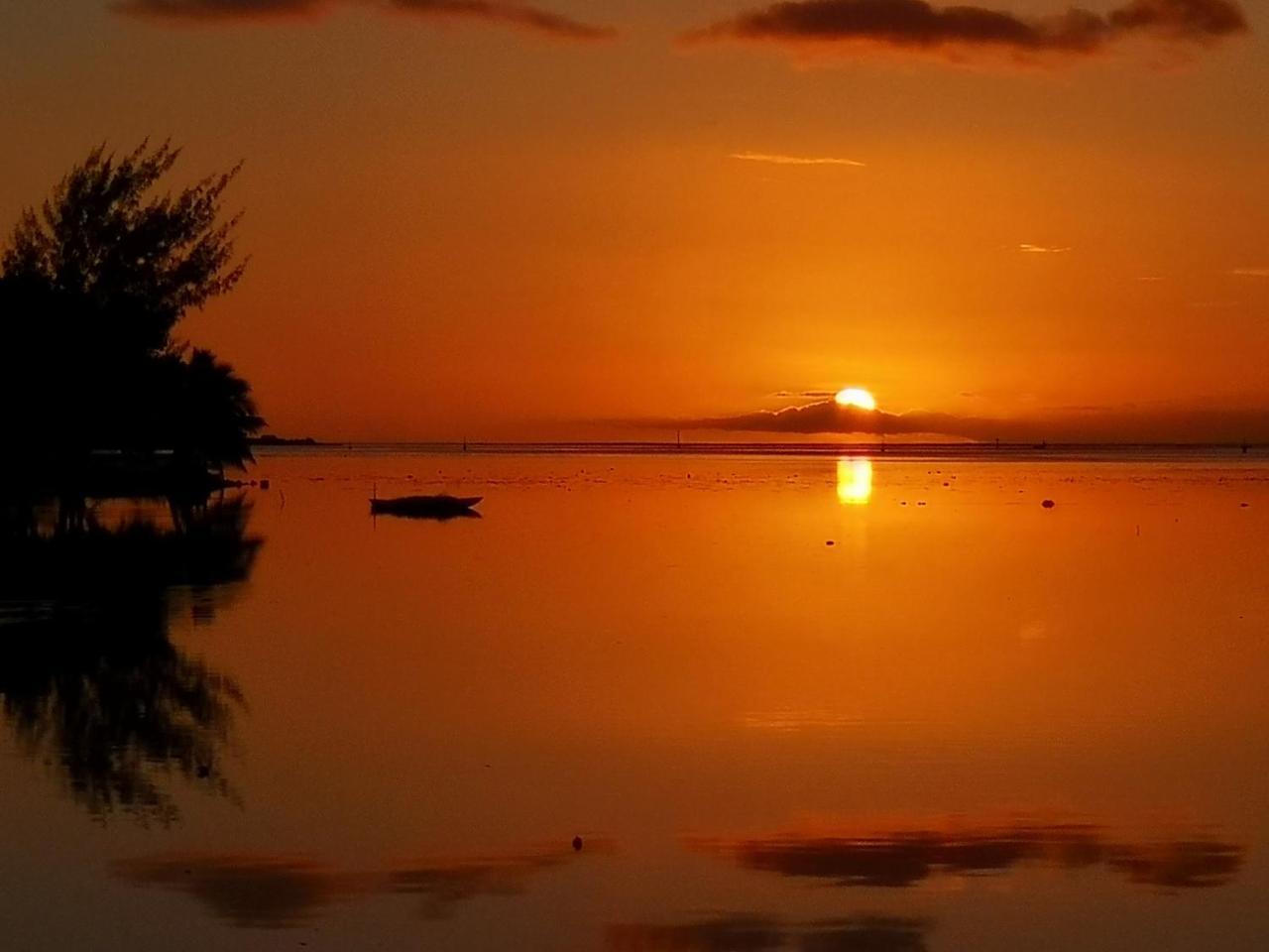 Lagoon Dream موريا المظهر الخارجي الصورة